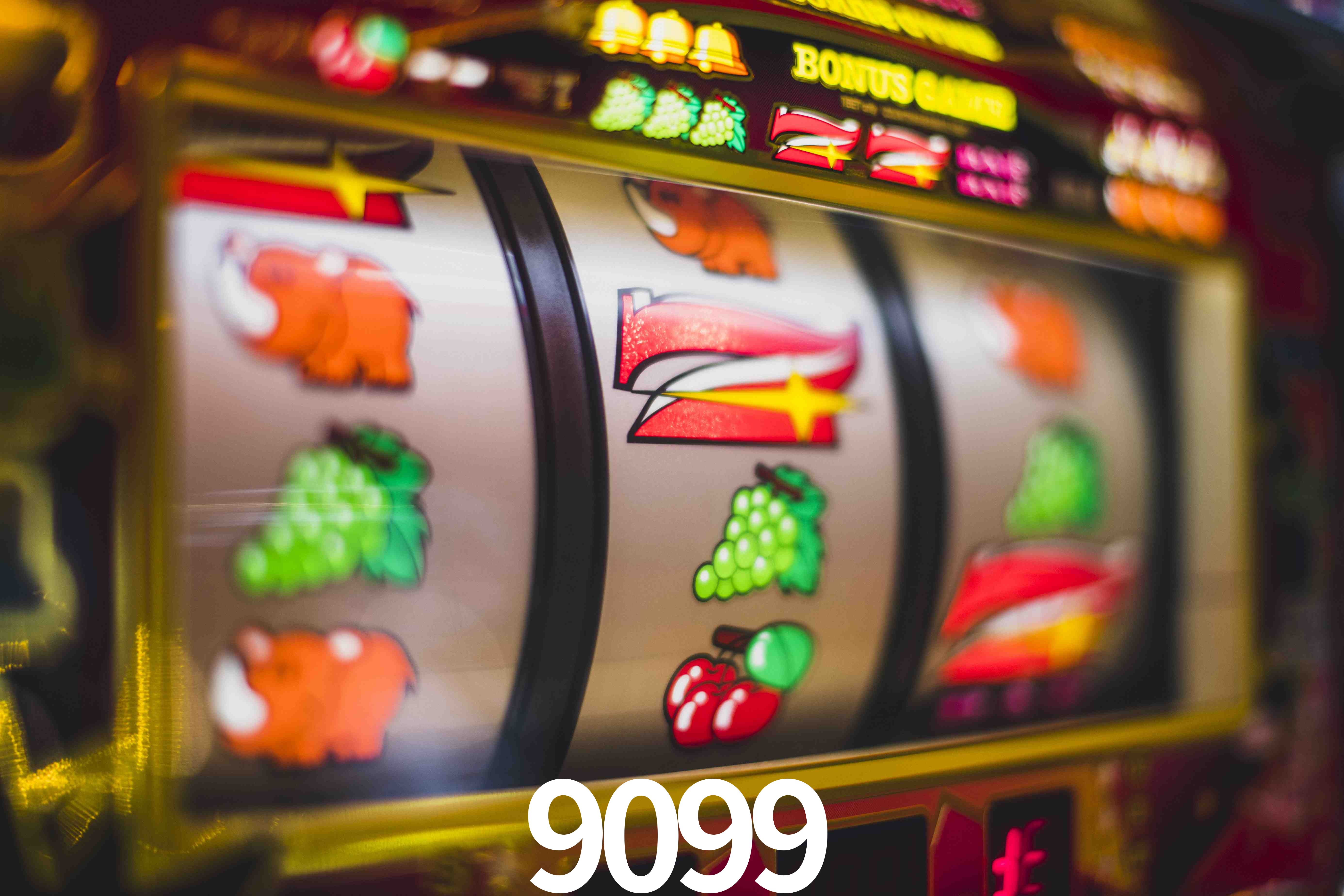 Experiência VIP 9099